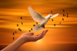 white dove lifting off hand into an orange sky, with darker birds flying out in the distance